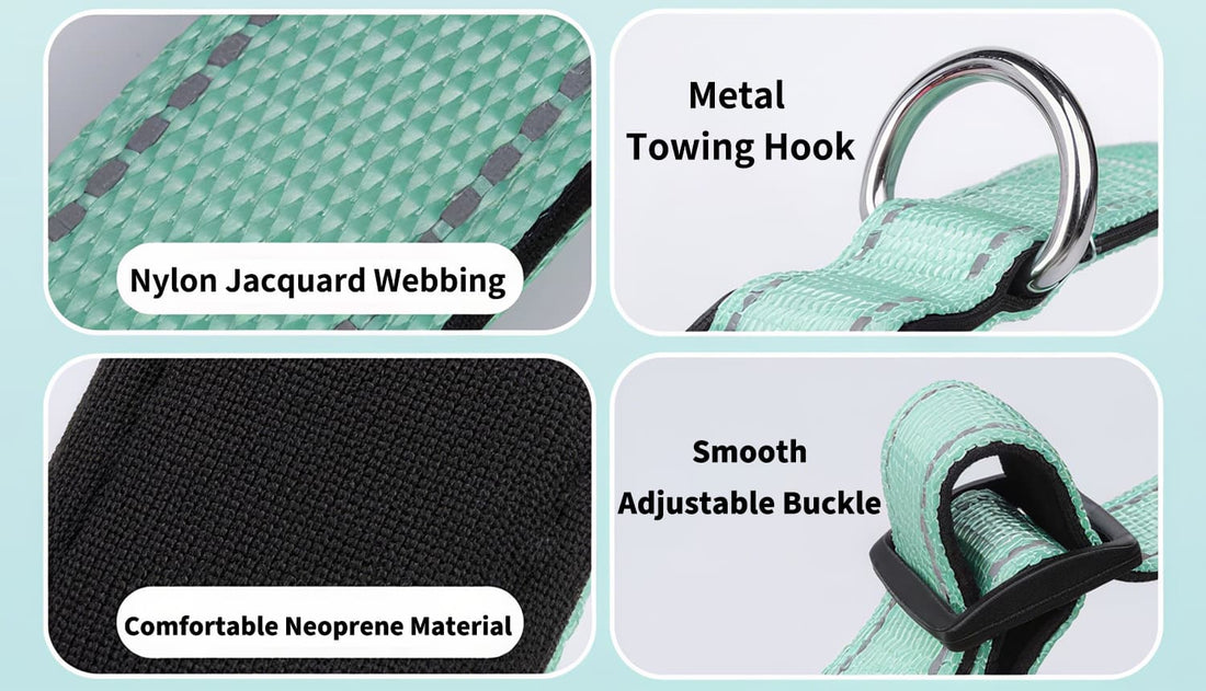 Reflective dog collar with nylon webbing, metal hook, smooth adjustable buckle and neoprene comfort
