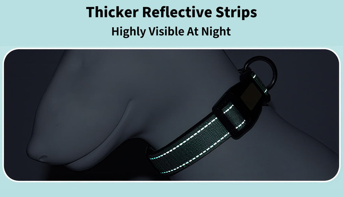 Reflective dog collar with thickened reflective strips for high visibility and safety at night