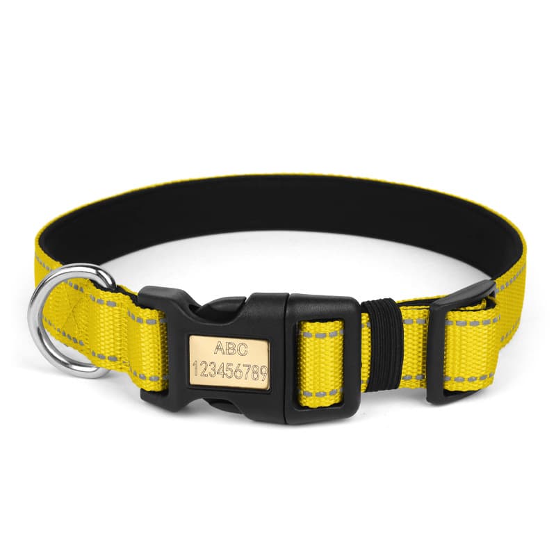Reflective dog collar yellow adjustable personalized with engraved name buckle