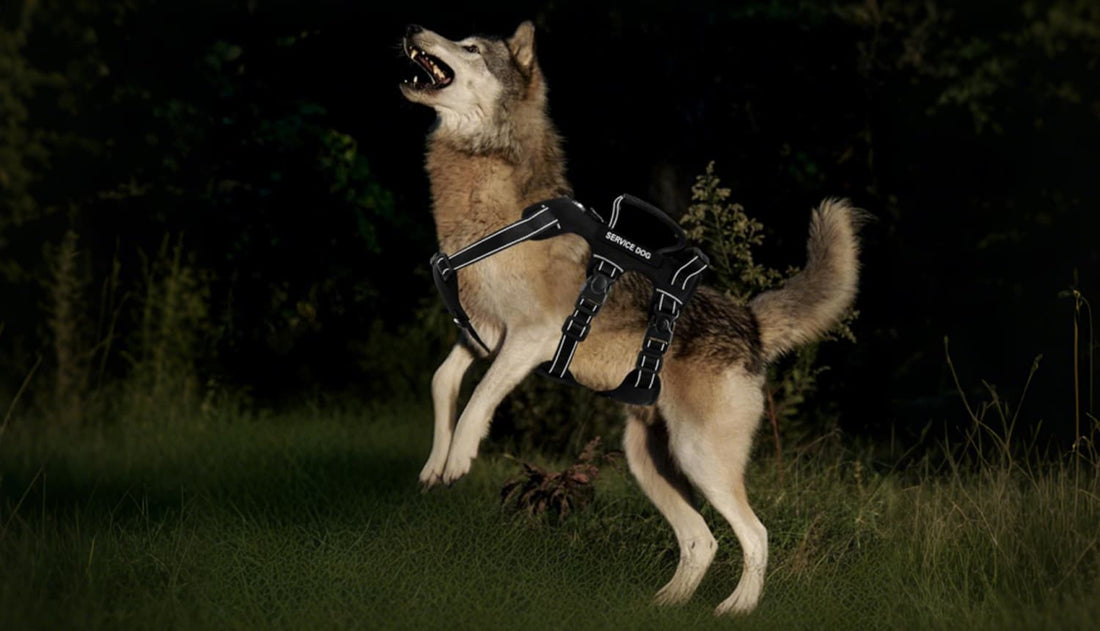 Escape resistant dog harness with reflective straps for night visibility