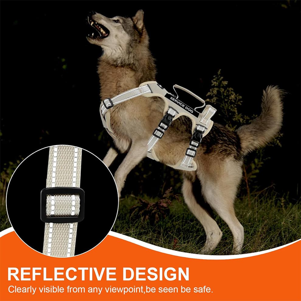 Reflective escape proof harness improves night visibility