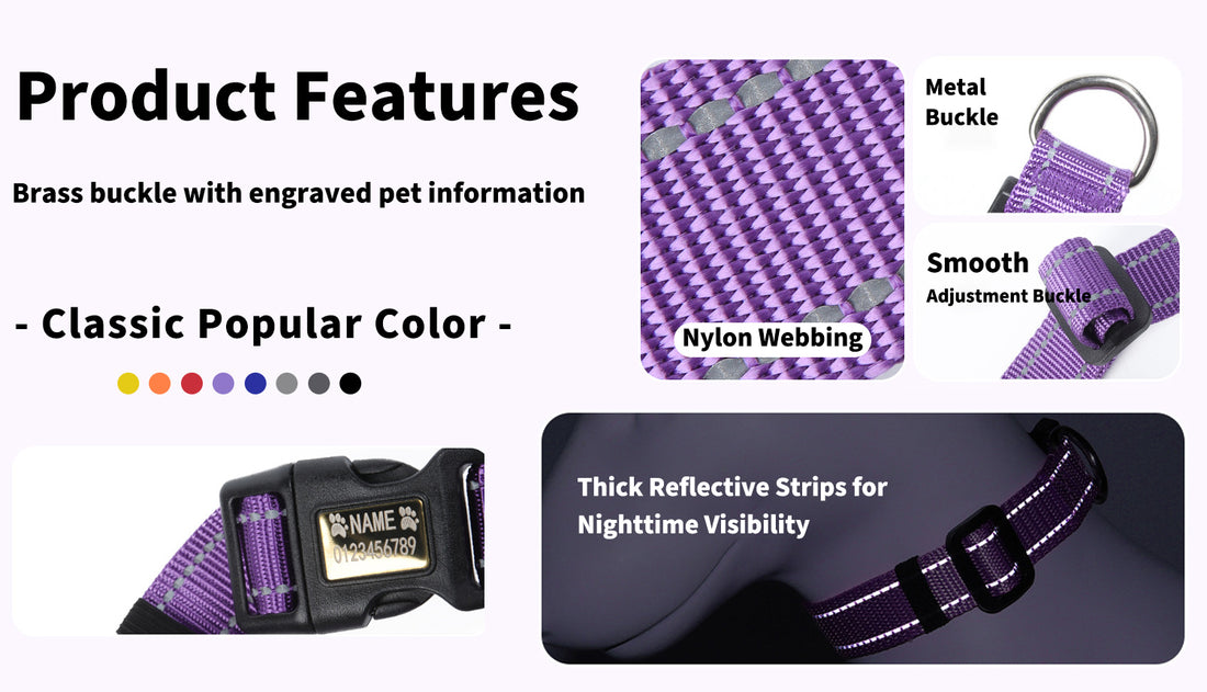 Close-up of reflective nylon dog collar showing metal D-ring, smooth tri-glide buckle, and engraved ID plate