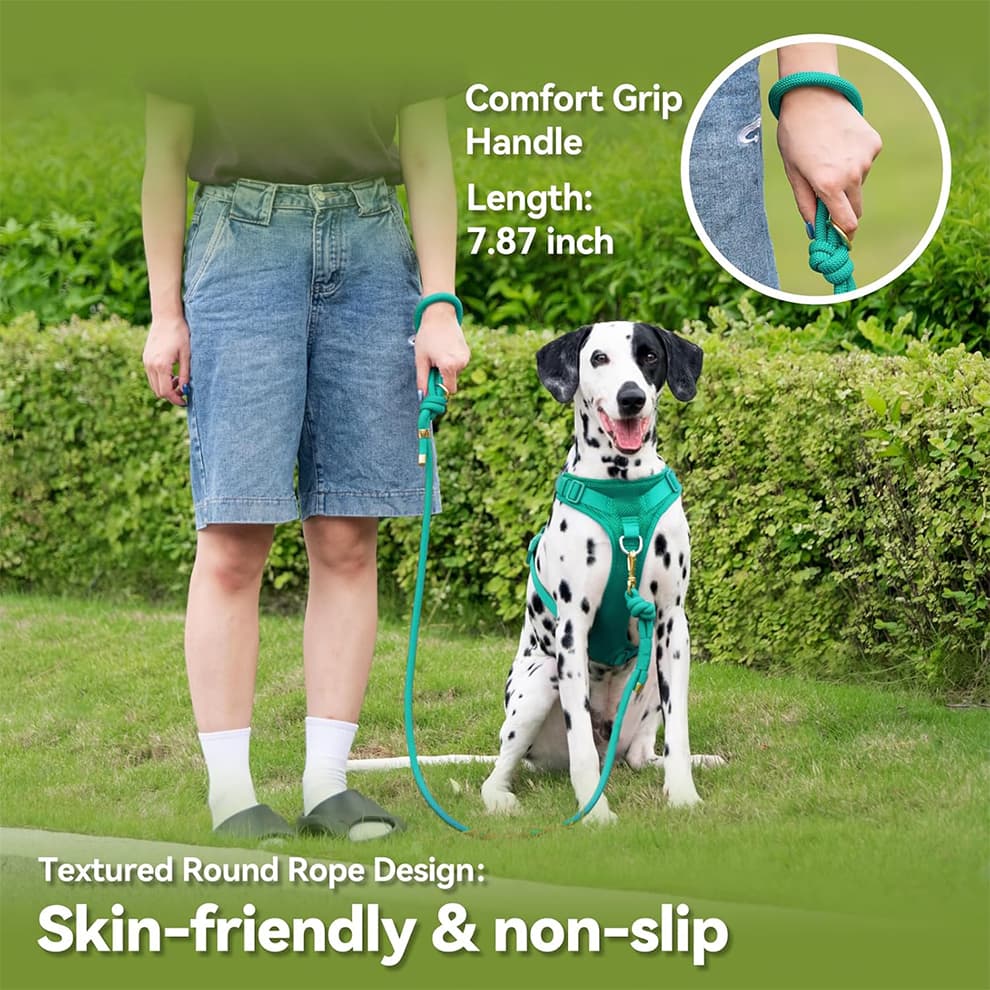 Rope dog leash with soft padded handle providing non slip comfort grip
