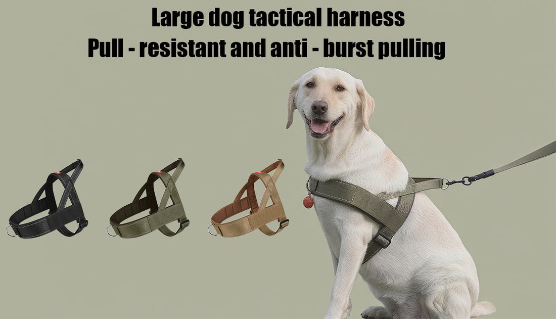 Saddle bag harness for dogs with reinforced handle, secure buckle, and reflective strips