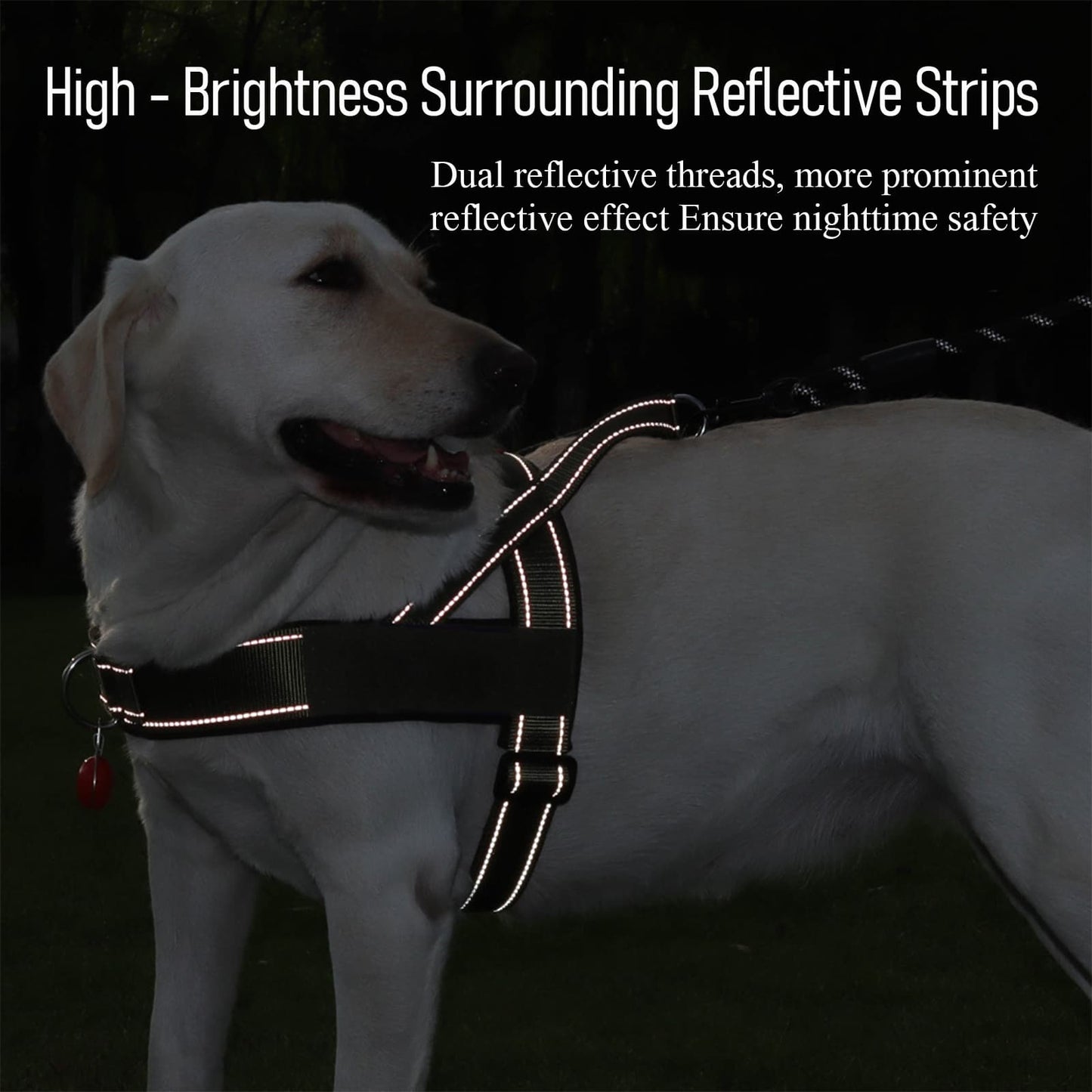 Harness with dual reflective strips for better visibility and nighttime safety