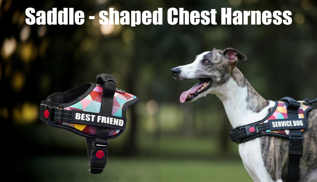 Saddle shaped large dog harness shown with reflective safety design