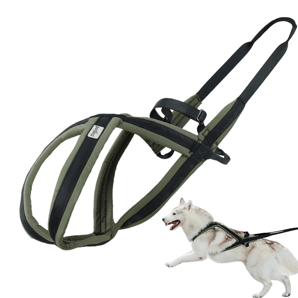 Sled dog harness for huskies and large dogs designed for pulling sports