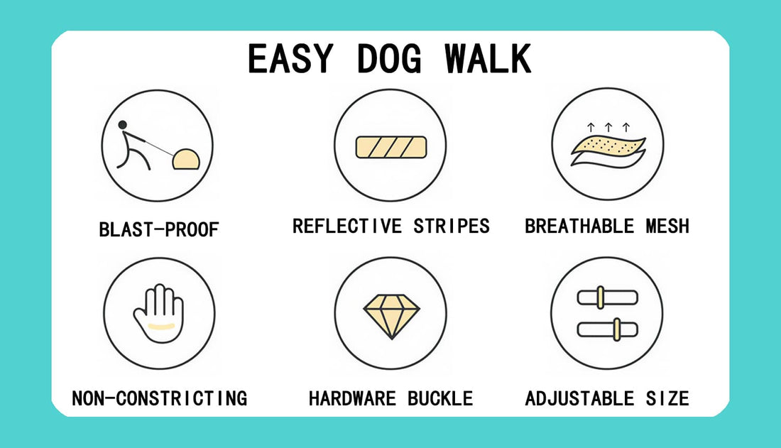 Small dog harness and leash features including blast proof design, reflective strips, breathable mesh, hardware buckle, and adjustable size