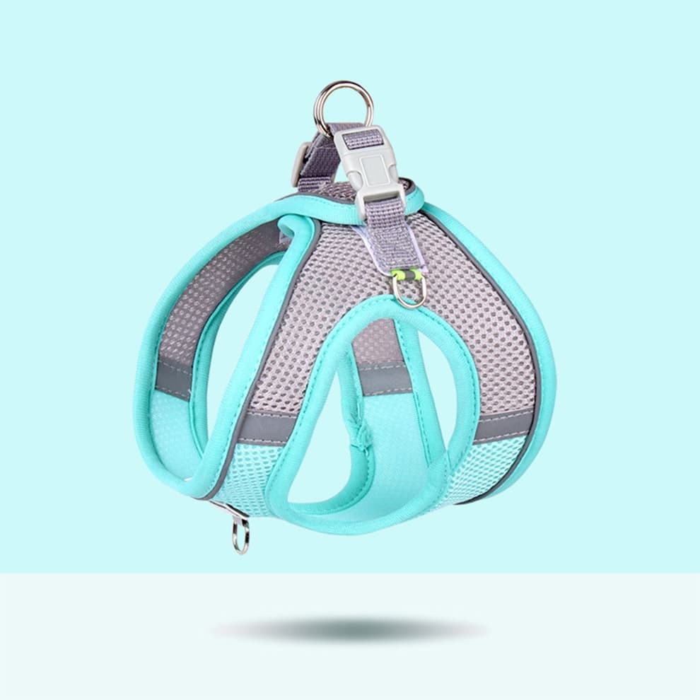 Small dog harness in breathable blue mesh, reflective strips, and secure buckle