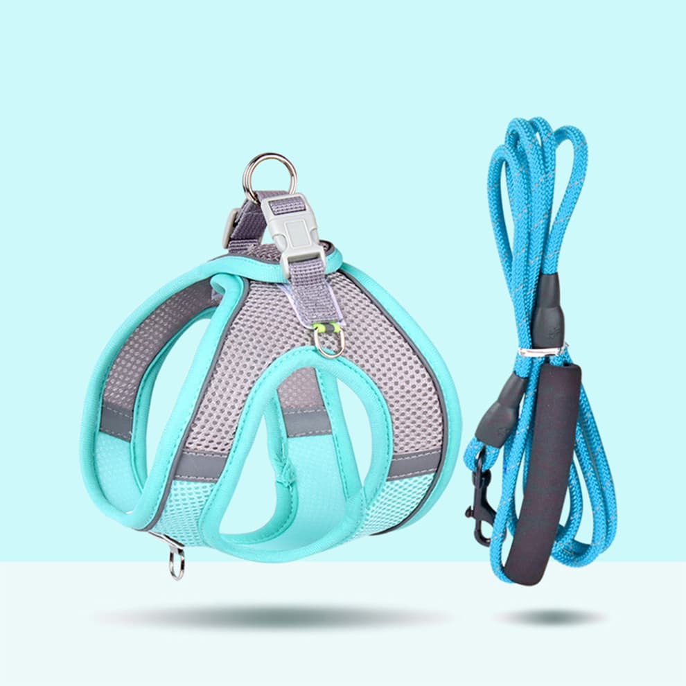 Small dog harness in blue mesh with 2m or 3m reflective round rope leash