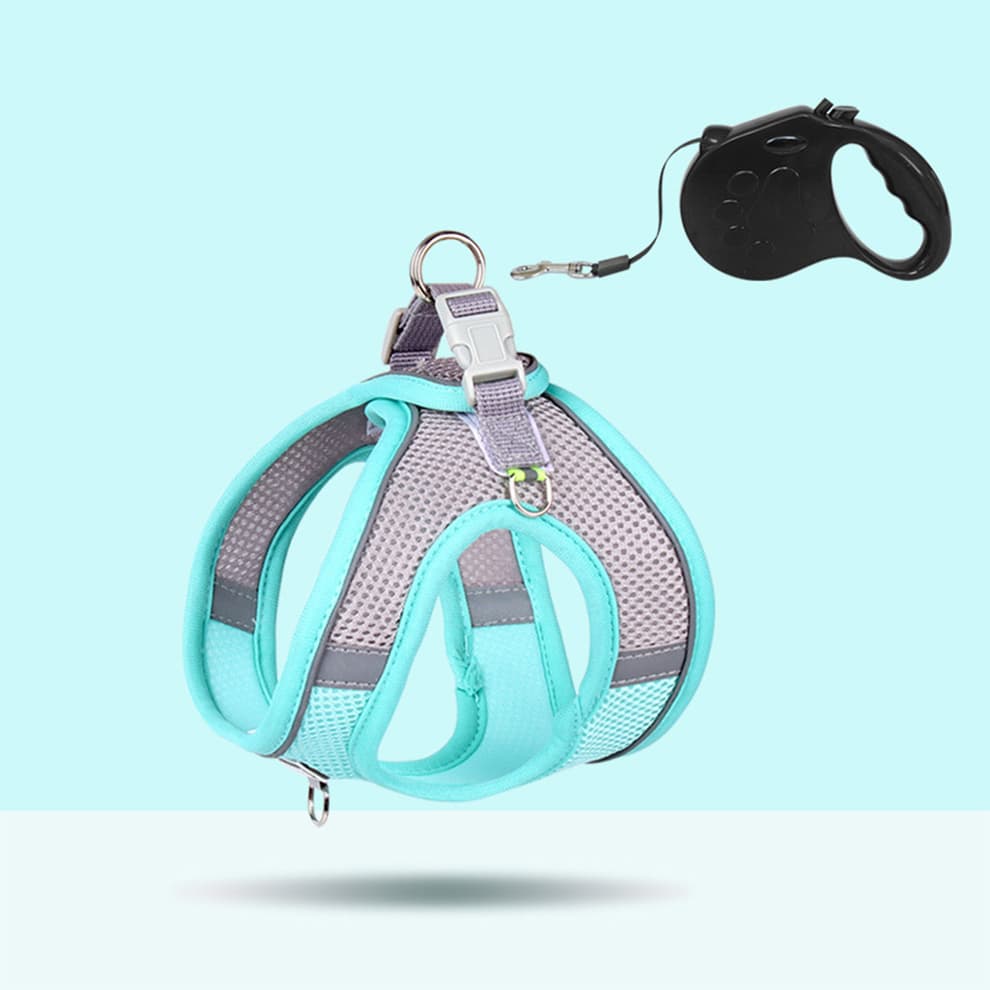 Small dog harness in blue mesh with reflective strips and 5m automatic retractable leash