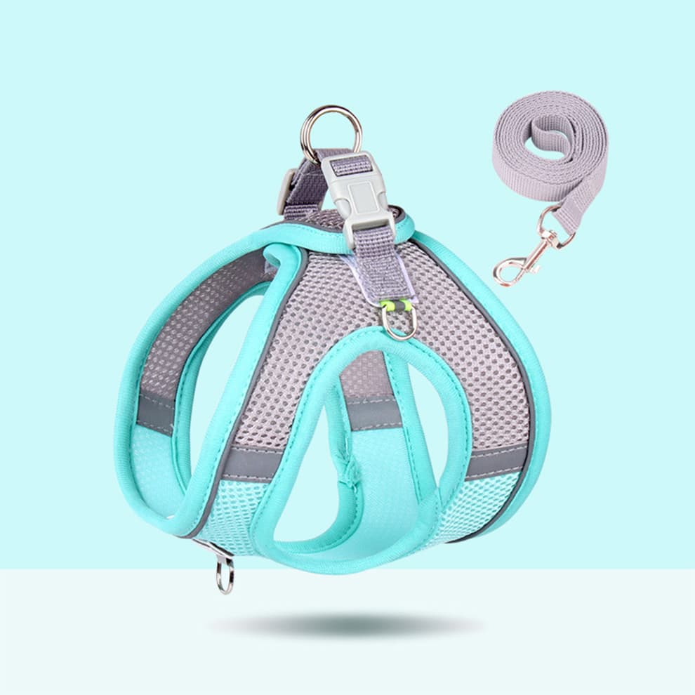 Small dog harness in blue breathable mesh with matching 1.5m flat leash