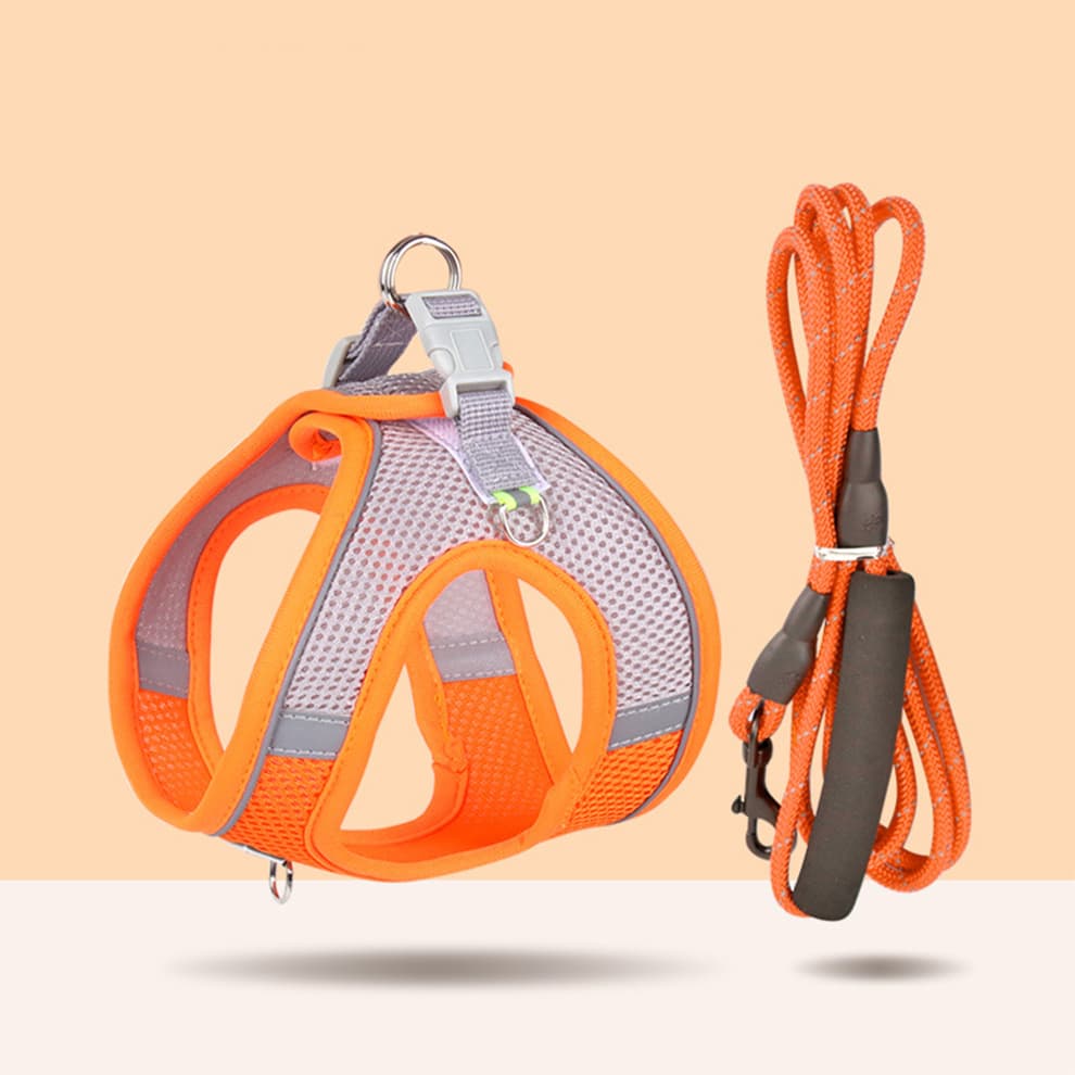 Orange small dog harness with breathable mesh and reflective round rope leash in 2m or 3m length