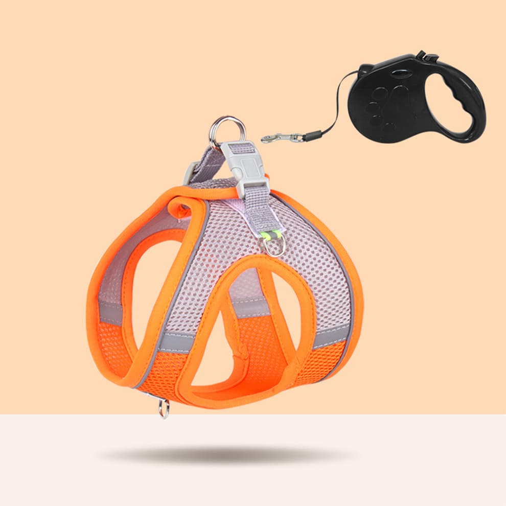 Orange small dog harness with breathable mesh design and 5m automatic retractable leash