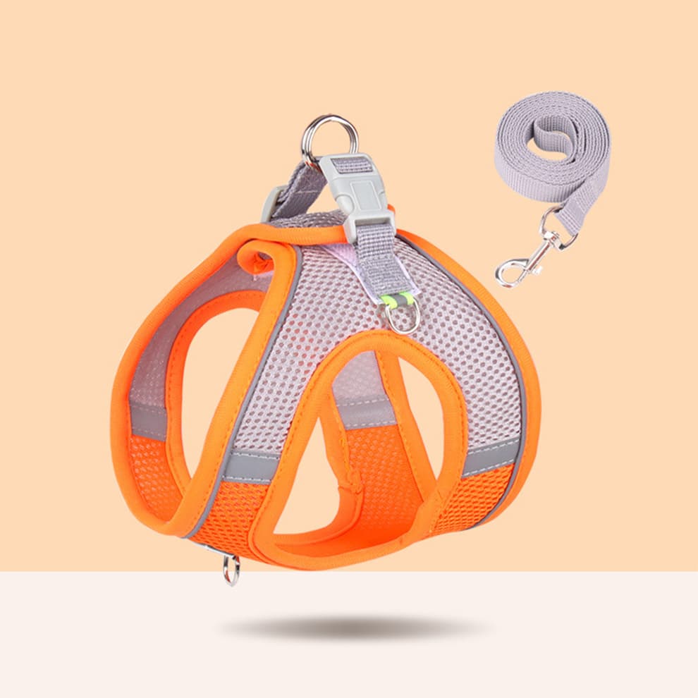 Orange small dog harness with reflective strips and 1.5m flat walking leash
