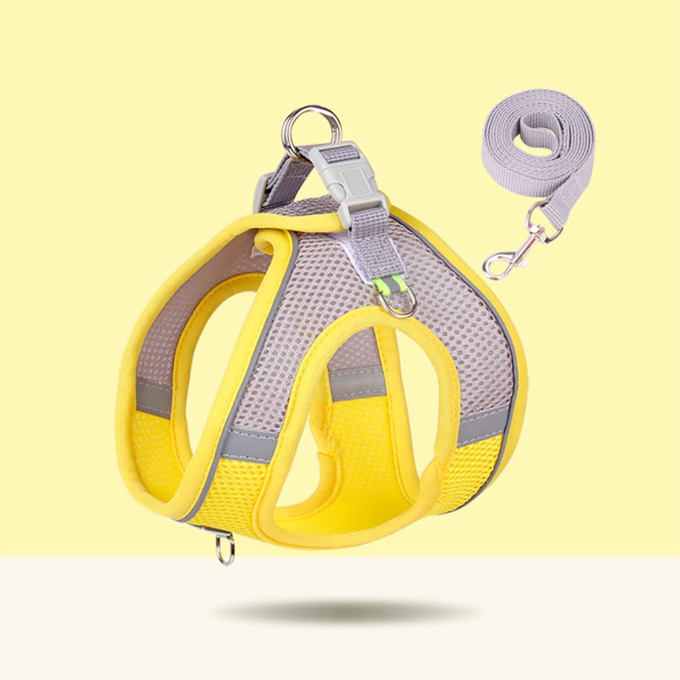 Yellow small dog harness in breathable mesh with secure buckle and flat leash