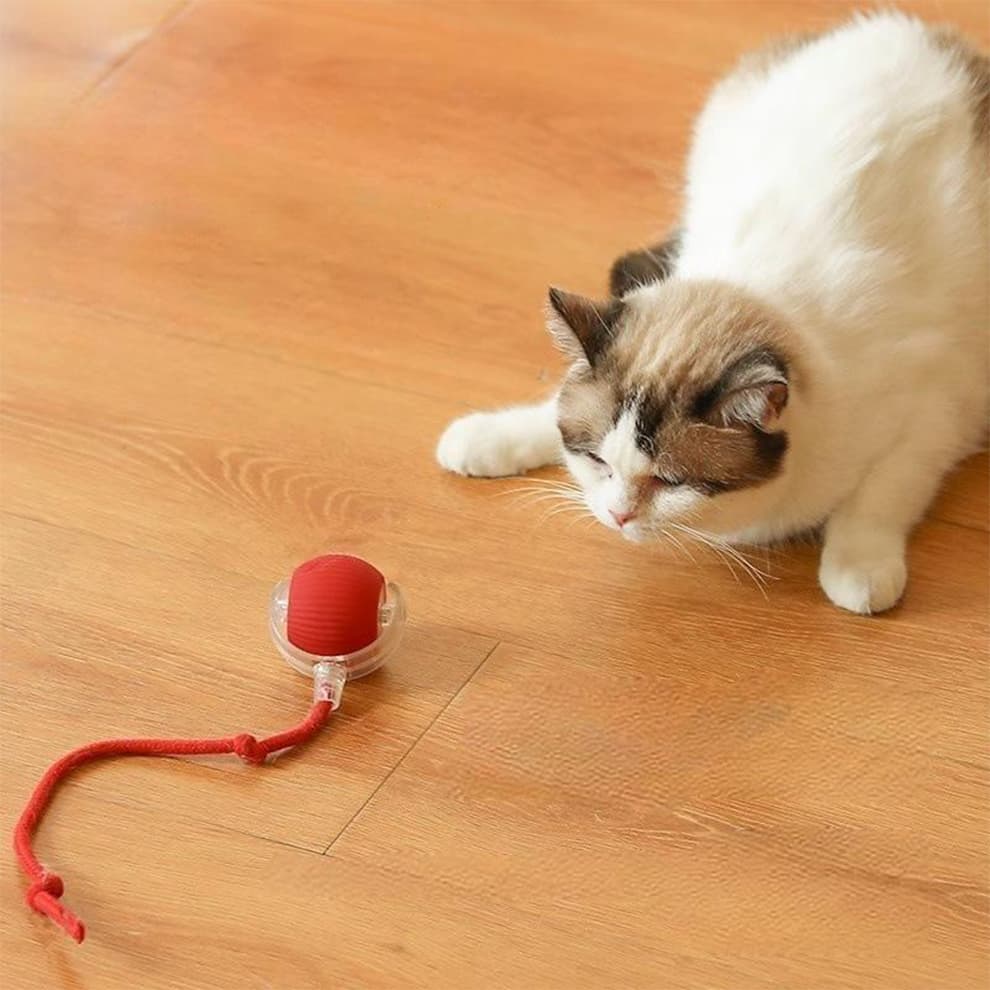 Smart cat balls toy entertains cats indoors, prevents boredom and destructive behavior