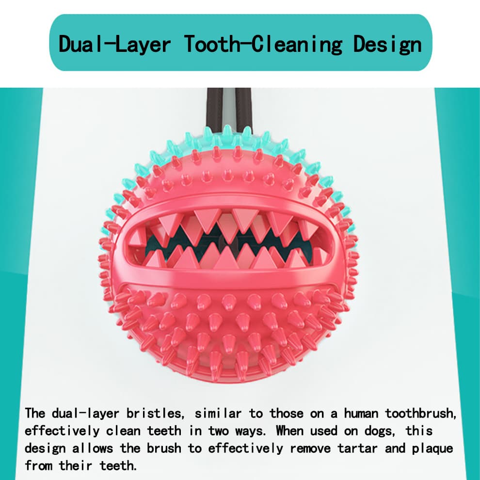 Suction dog toy cross-sectional view showing tartar removal