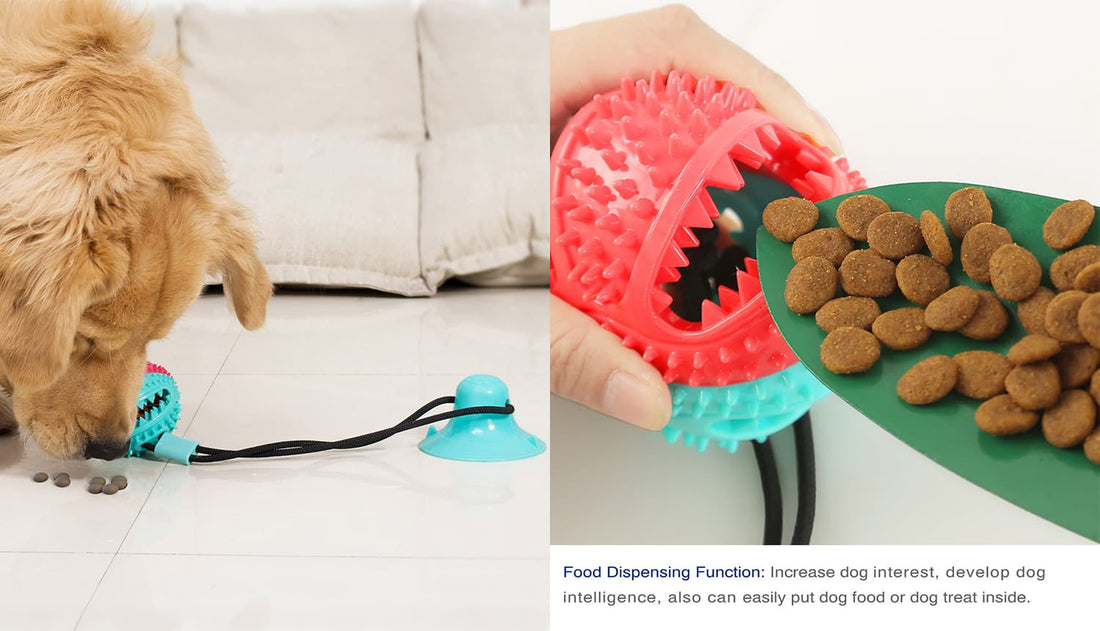 Suction cup dog toy with detailed description for chewing and training