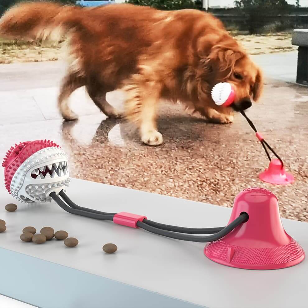 Suction dog toy with strong suction cup for outdoor large dog training