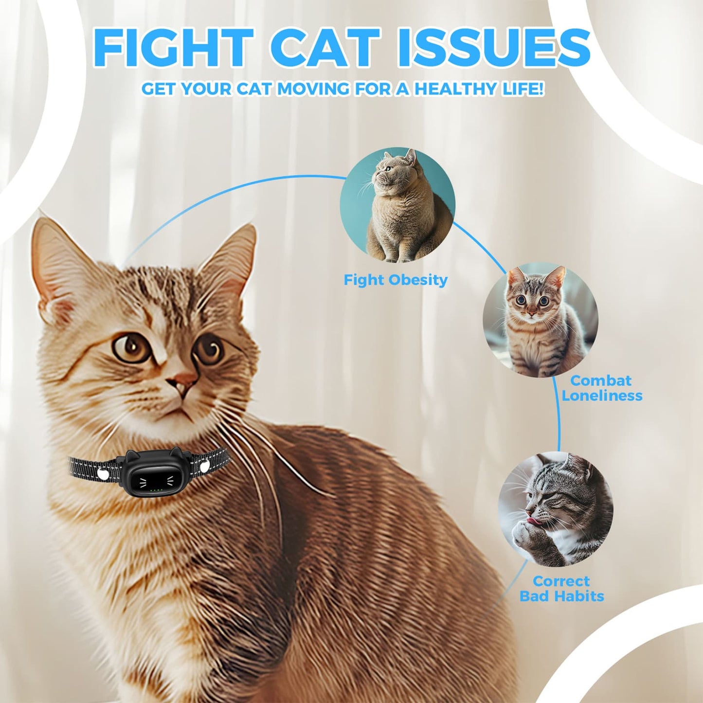 Training collars for cats help fight obesity correct bad habits and reduce loneliness