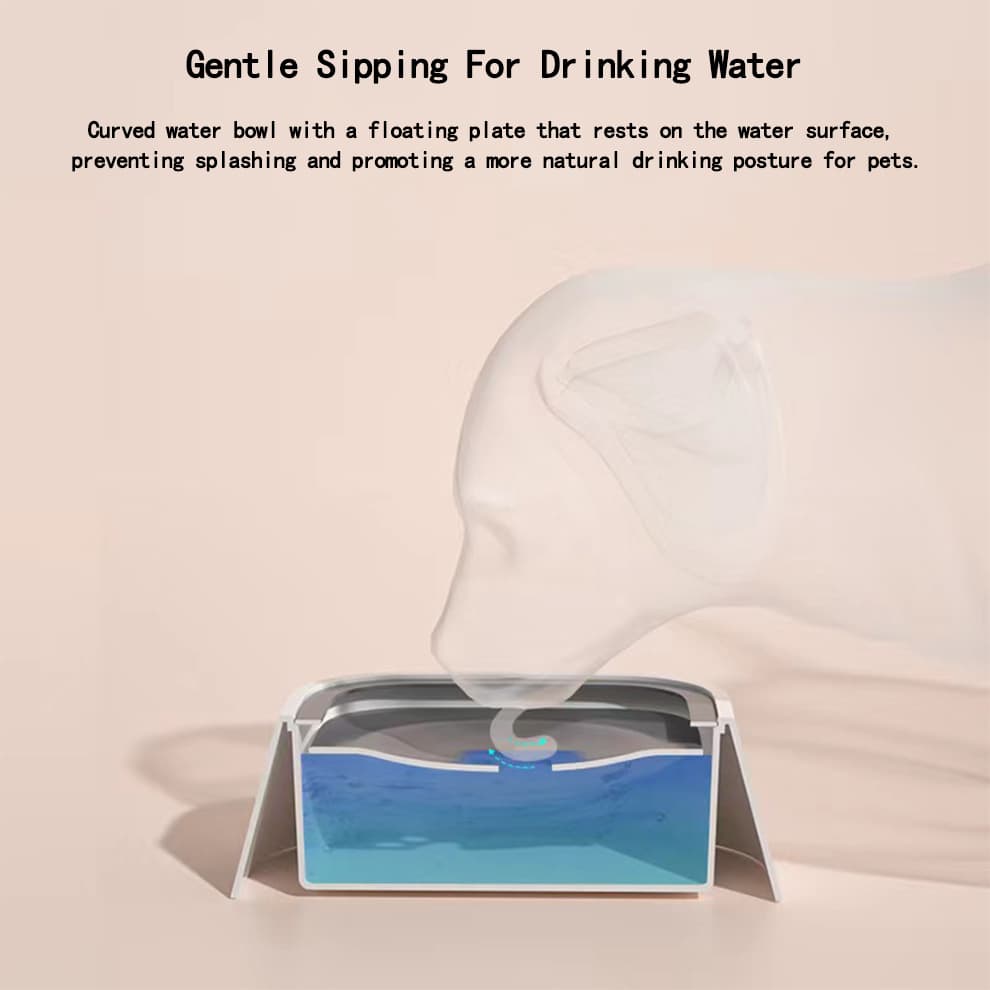 Travel dog bowl with floating plate for gentle sipping