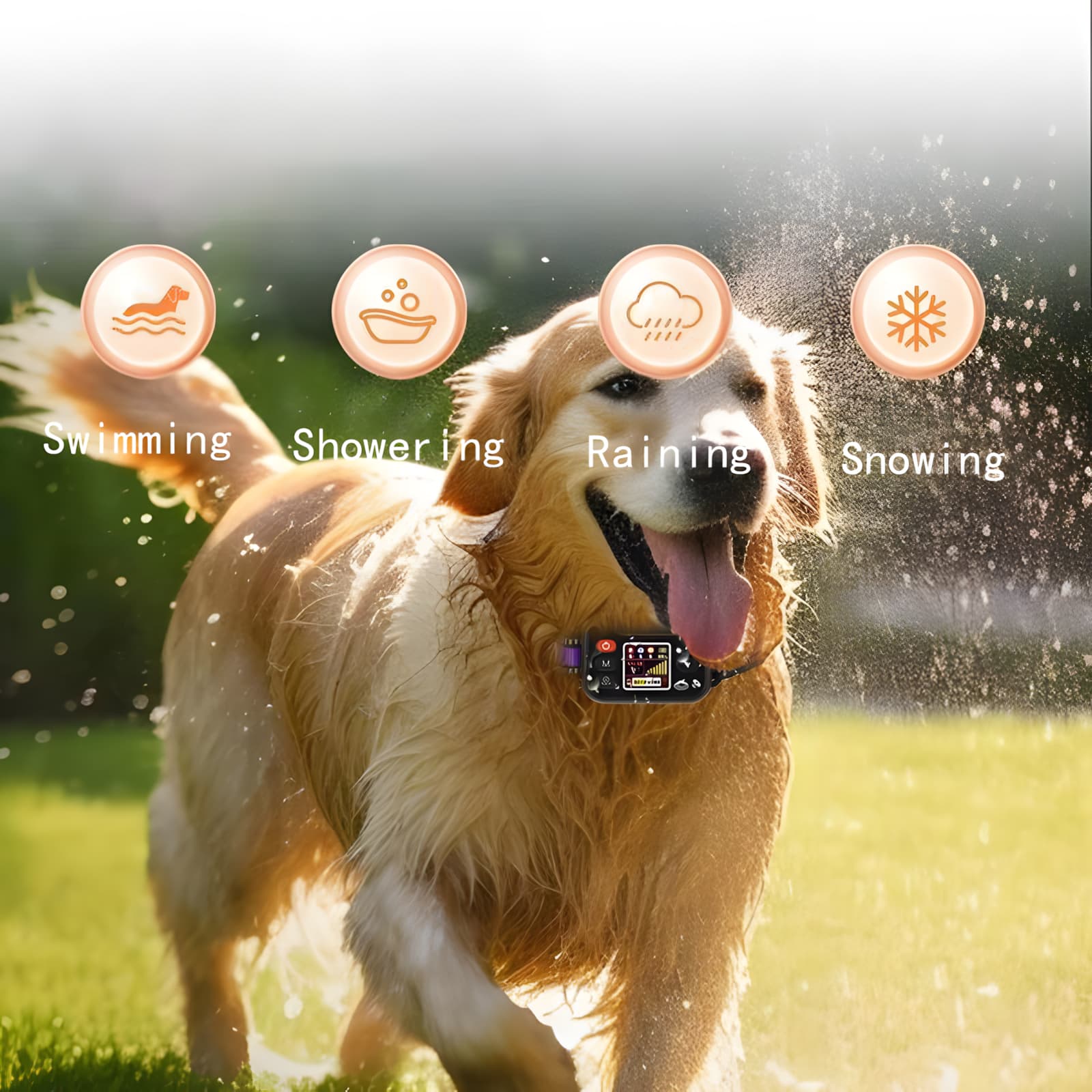 Waterproof dog fence collar suitable for swimming, showering, rain, and snow conditions