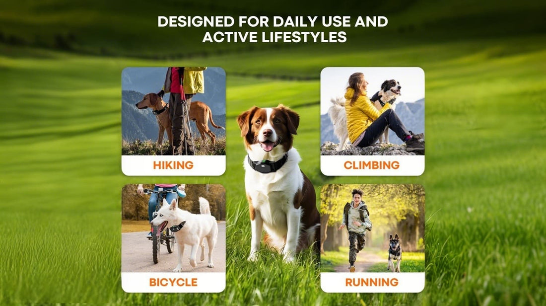 Wireless dog collar designed for hiking climbing running and active daily lifestyle