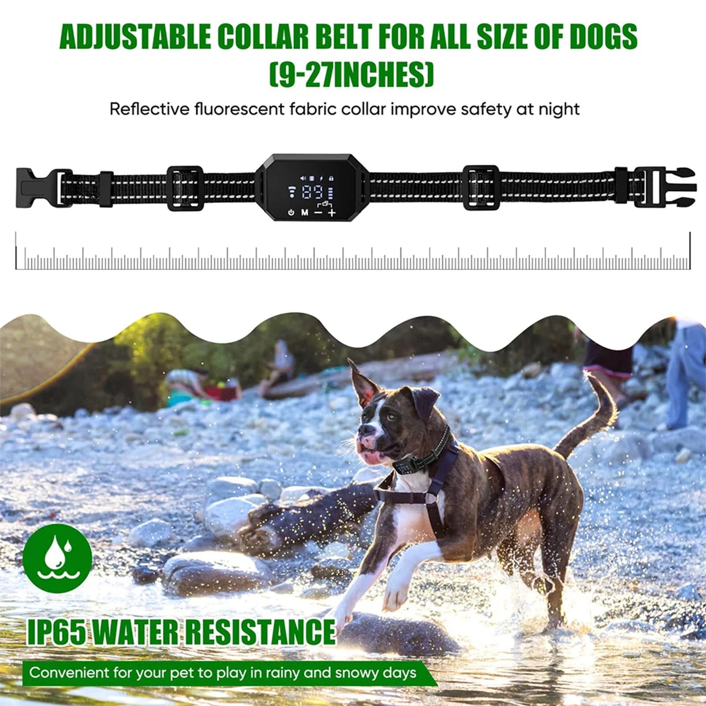 Dog running in large yard wearing GPS fence collar with up to 1000m range