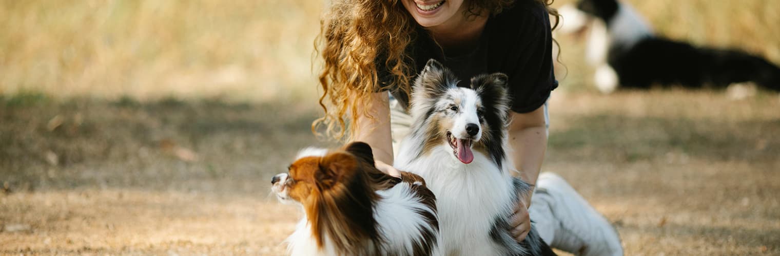 smiling-woman-with-curly-hair-playing-with-two-small-dogs-outdoors-on-grass
