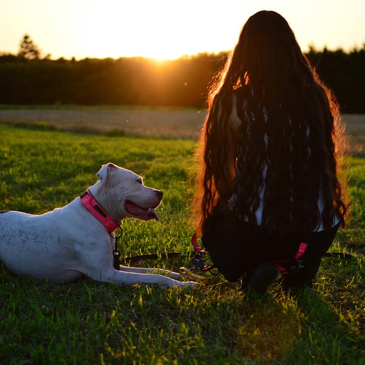 woman-with-long-hair-sitting-on-grass-next-to-white-dog-wearing-pink-collar-at-sunset