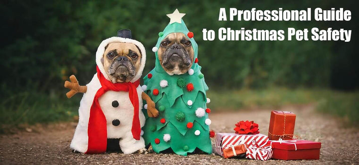 Christmas Pet Safety guide cover image featuring two French Bulldogs dressed as a snowman and a Christmas tree with text overlay.