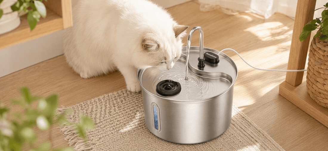 A cat drinking water from a Sovelivee stainless steel cat water fountain.
