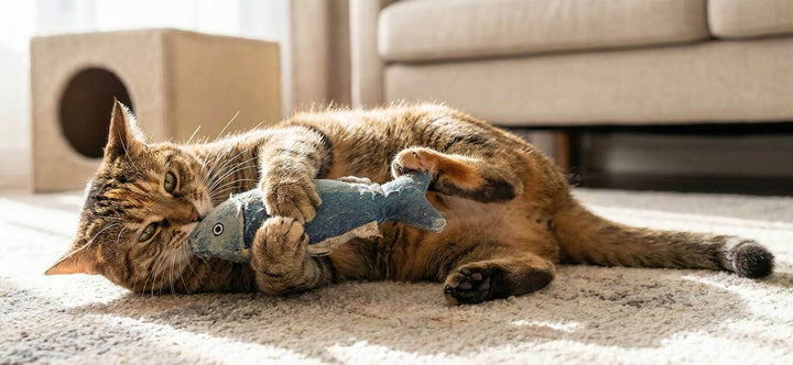 Cat Bunny Kick close-up showing a tabby cat engaging in instinctive rabbit kick cat behavior on a denim kicker toy instead of a human arm.