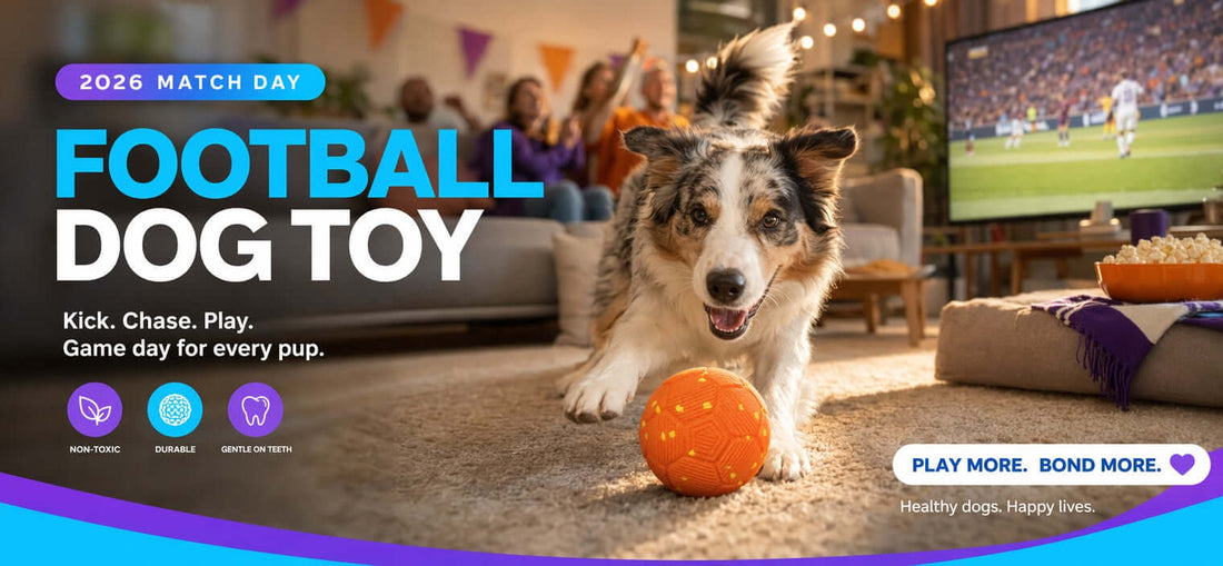 Dog playing with a football dog toy during a World Cup watch party