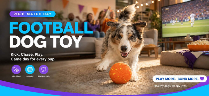 Dog playing with a football dog toy during a World Cup watch party