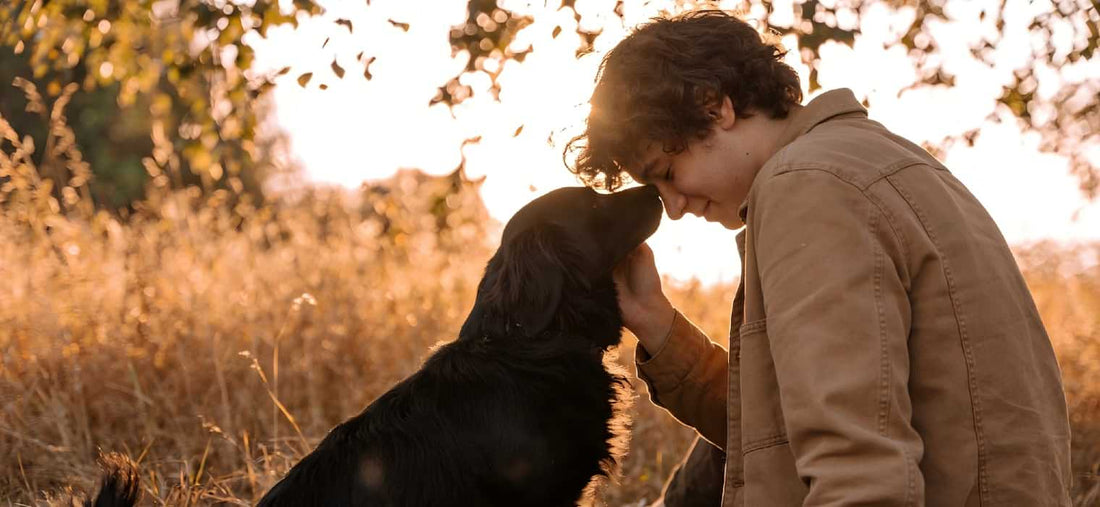 How to bond with your dog illustrated by a peaceful moment of physical closeness and trust between an owner and his pet during sunset.