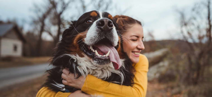 Responsible Pet Ownership: A happy woman hugging her Bernese Mountain Dog outdoors, symbolizing the bond between owner and pet