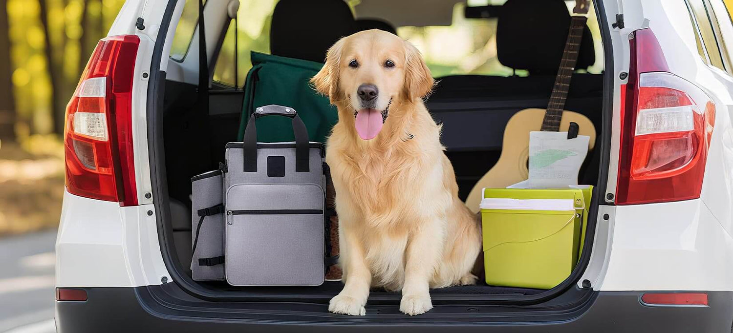 Dog travel gear category banner featuring a golden retriever sitting in a car trunk with travel essentials including a cooler, bag, and guitar
