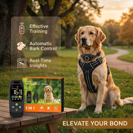 3-in-1 remote dog trainer providing automatic bark control and real-time insights, worn by a Golden Retriever to elevate your bond.