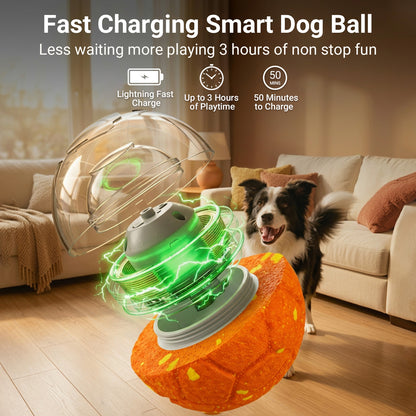 Interactive Dog Balls - Smart Motion Bouncing Toy
