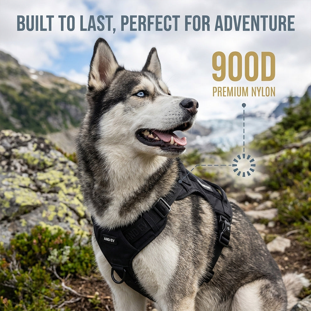 900D nylon dog harness built to last, perfect for outdoor adventure, shown on a Husky exploring rugged mountain terrain.