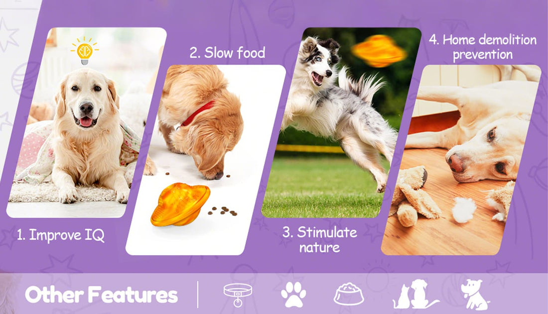 Interactive dog puzzle toys highlighting IQ training, slow feeding, and home protection features