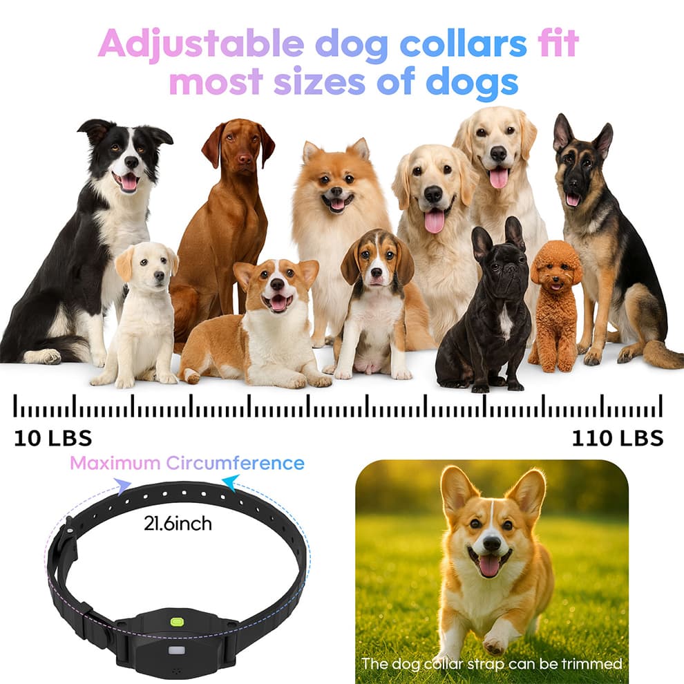 Adjustable Nylon Collar Strap Fitting Small to Large Dogs (10-110lbs) with Size Guide.