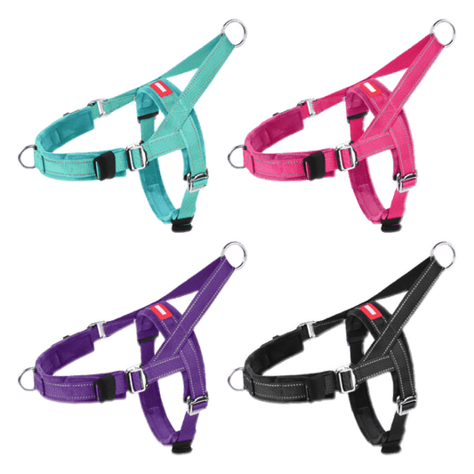 Adjustable dog harness in four vibrant colors with reflective straps