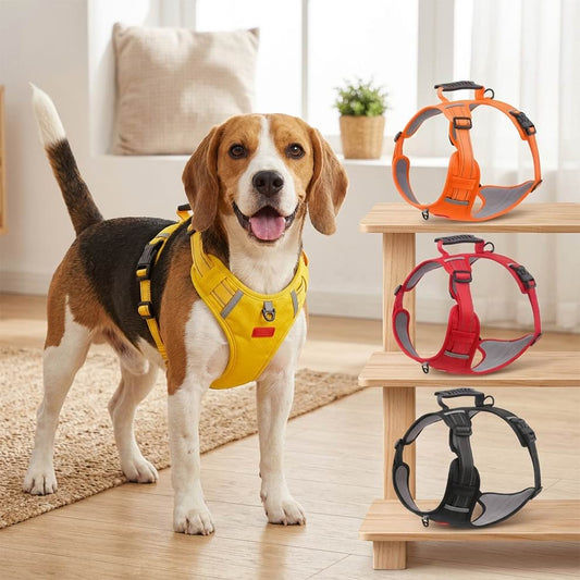 Adjustable dog harness leash set available in multiple colors including orange, red, and black, shown on a happy Beagle indoors.
