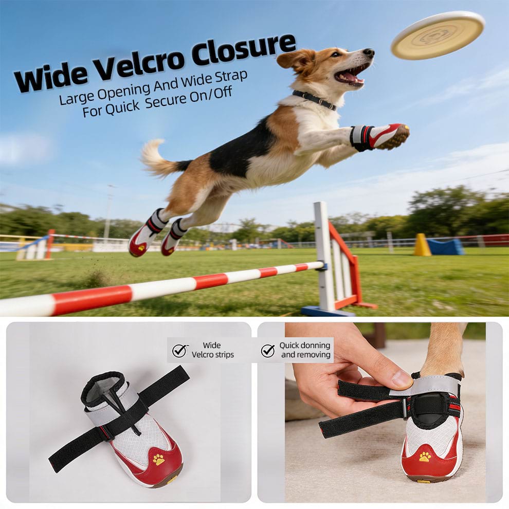 Hand adjusting the wide velcro strap on Indoor Dog Shoes, offering a secure fit that stays on better than Anti-Slip Dog Socks.