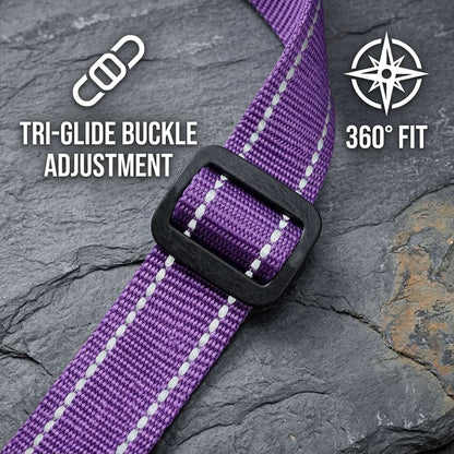 Adjustable tri-glide buckle on the nylon dog collar, providing a smooth 360-degree fit tailored perfectly to your dog's neck size.