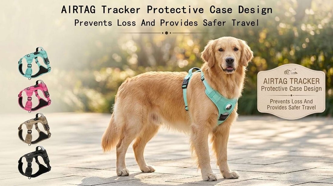 Airtag tracker protective case design integrated into the dog harness, preventing loss and providing safer travel for a Golden Retriever.