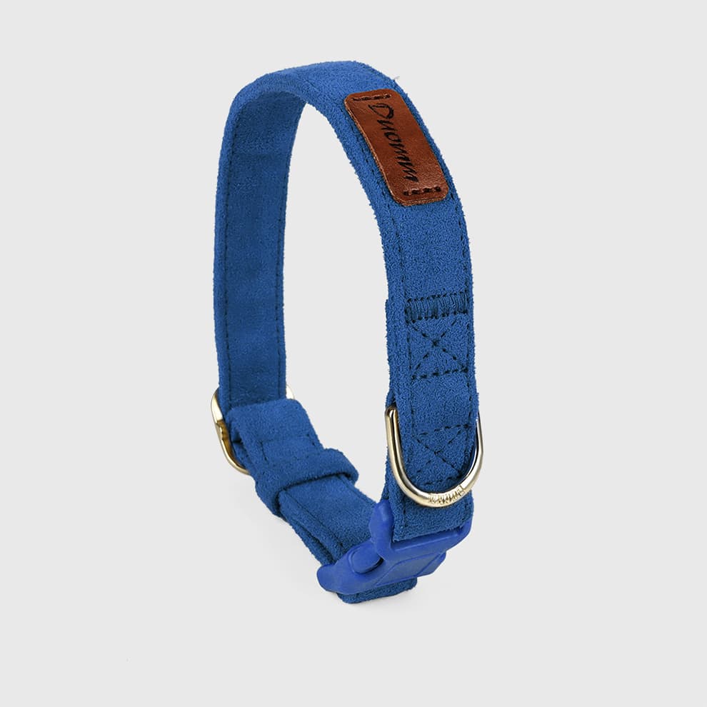 Blue dog collar designed to match harness and leash for small dogs
